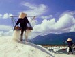 Bi kịch đường và muối: Sắp hết thời tự sướng